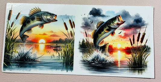 Fisch 3