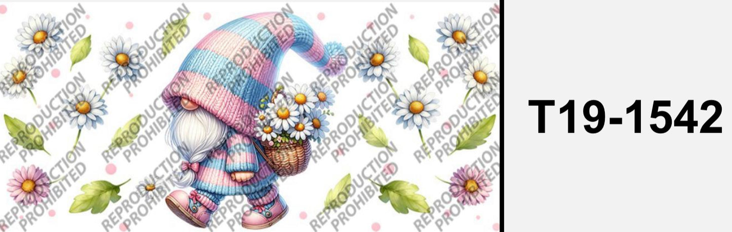 Süsser Zwerg T19-1542