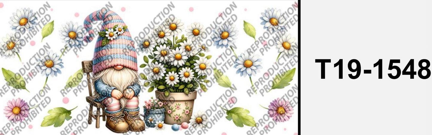 Süsser Zwerg T19-1548