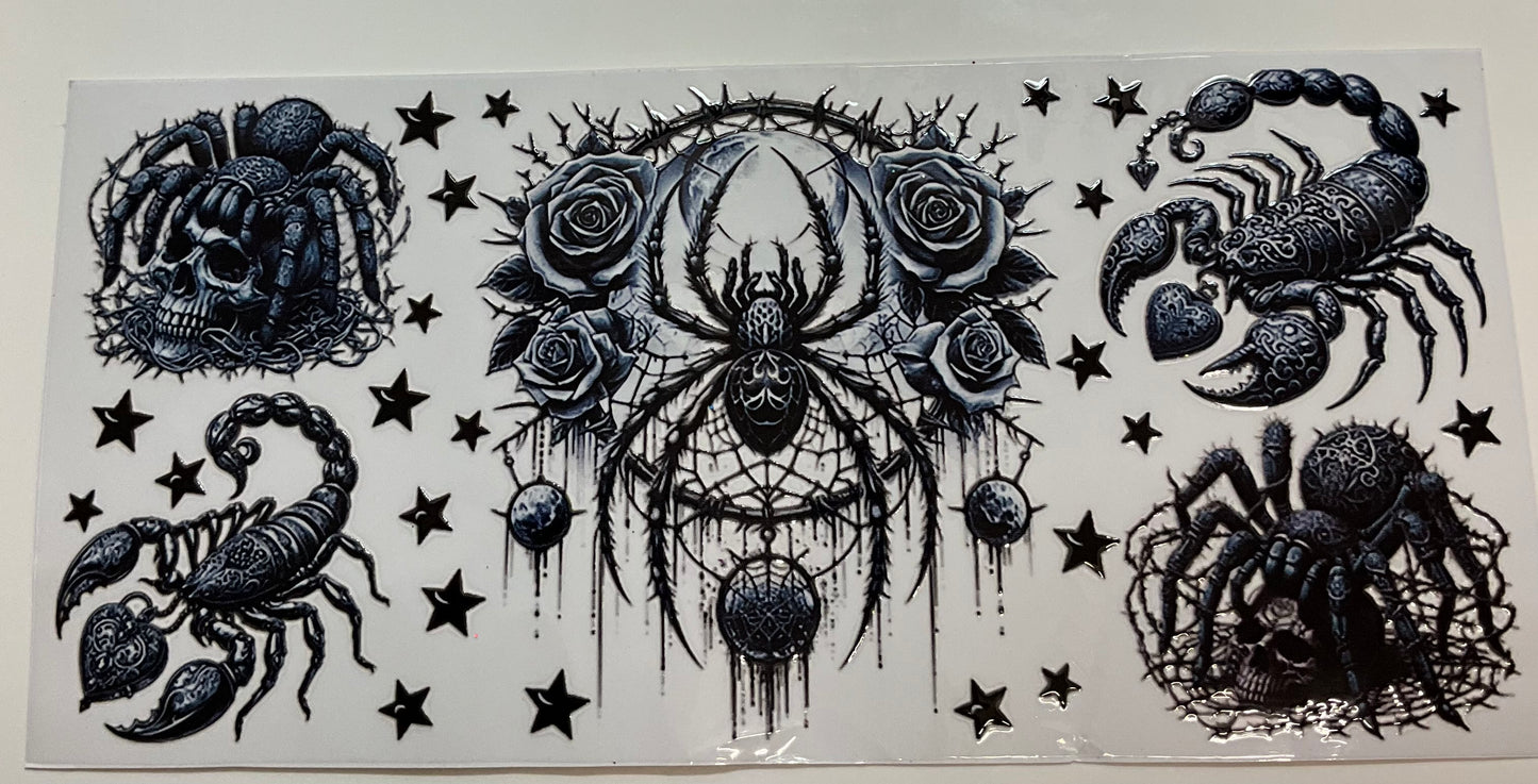 235 Spinne Tarantel scorpion