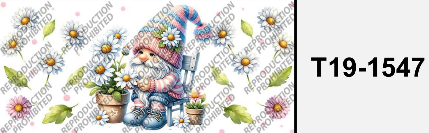 Süsser Zwerg T19-1547