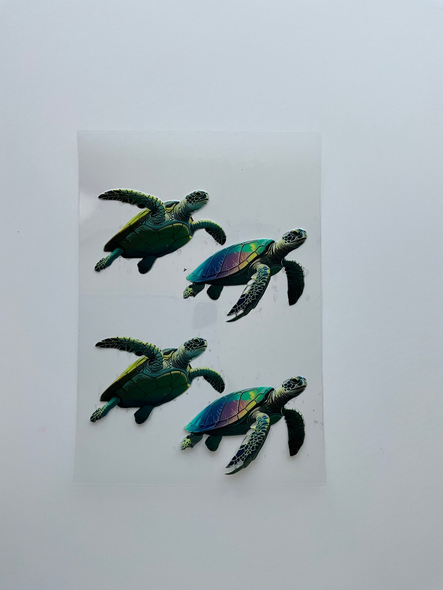 Turtle 1