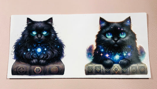 CAT book