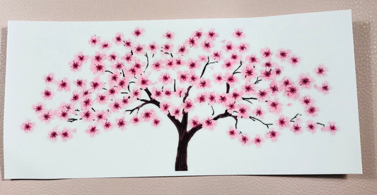 Kirschblüte 7