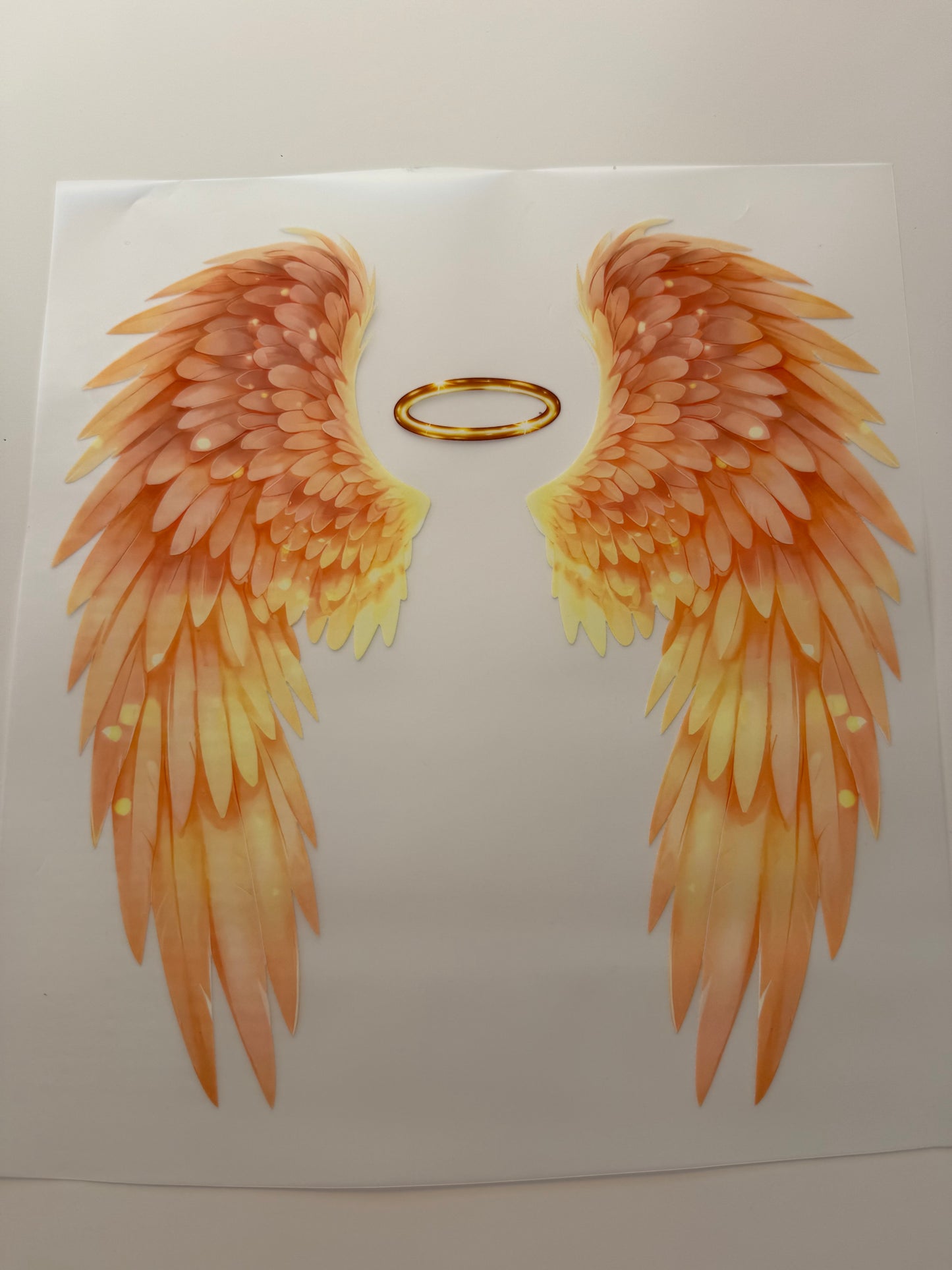 Angel wings 1