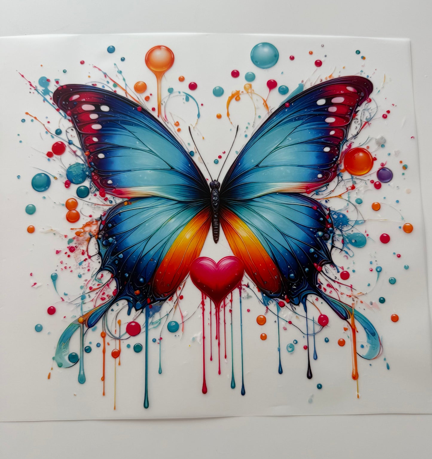 Butterflies Schmetterling 🦋