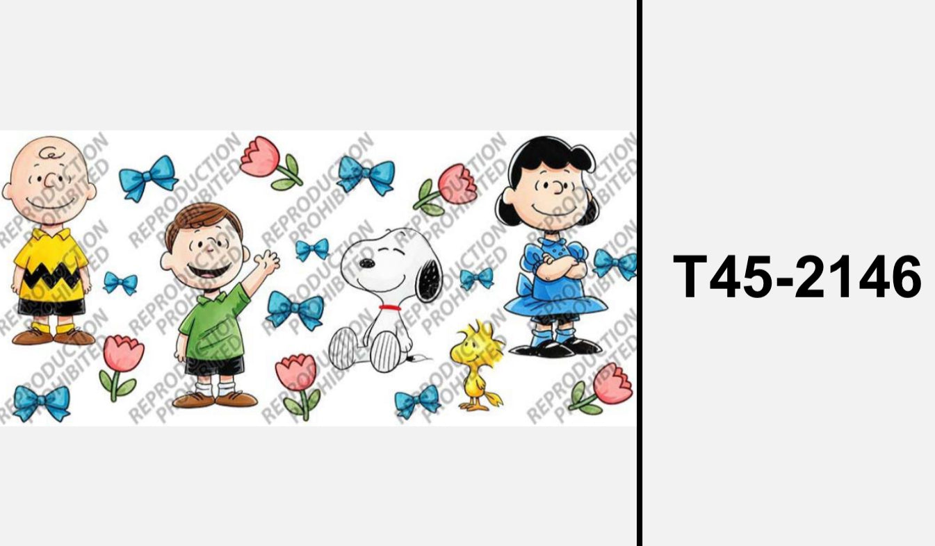 T45-2146