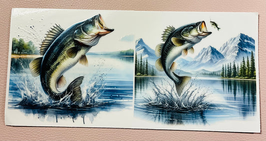 Fisch 5
