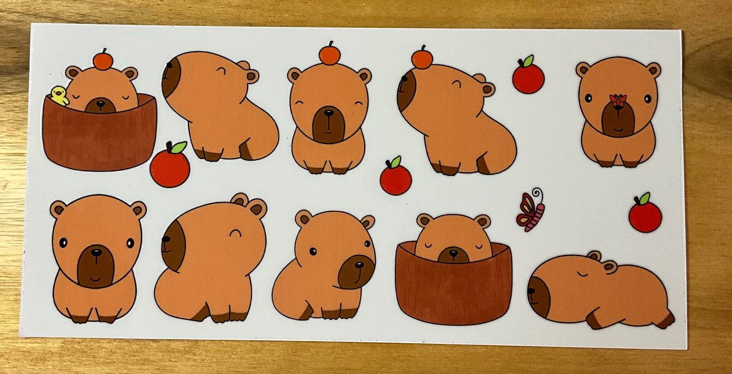 Capybara cute