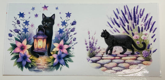 259 Lavendel Katze