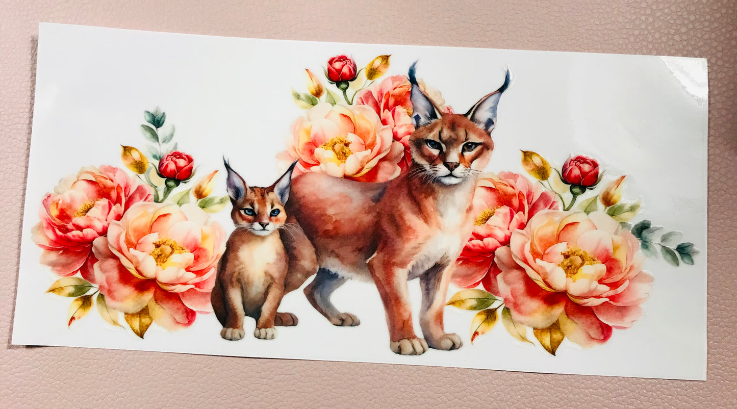 Luchs