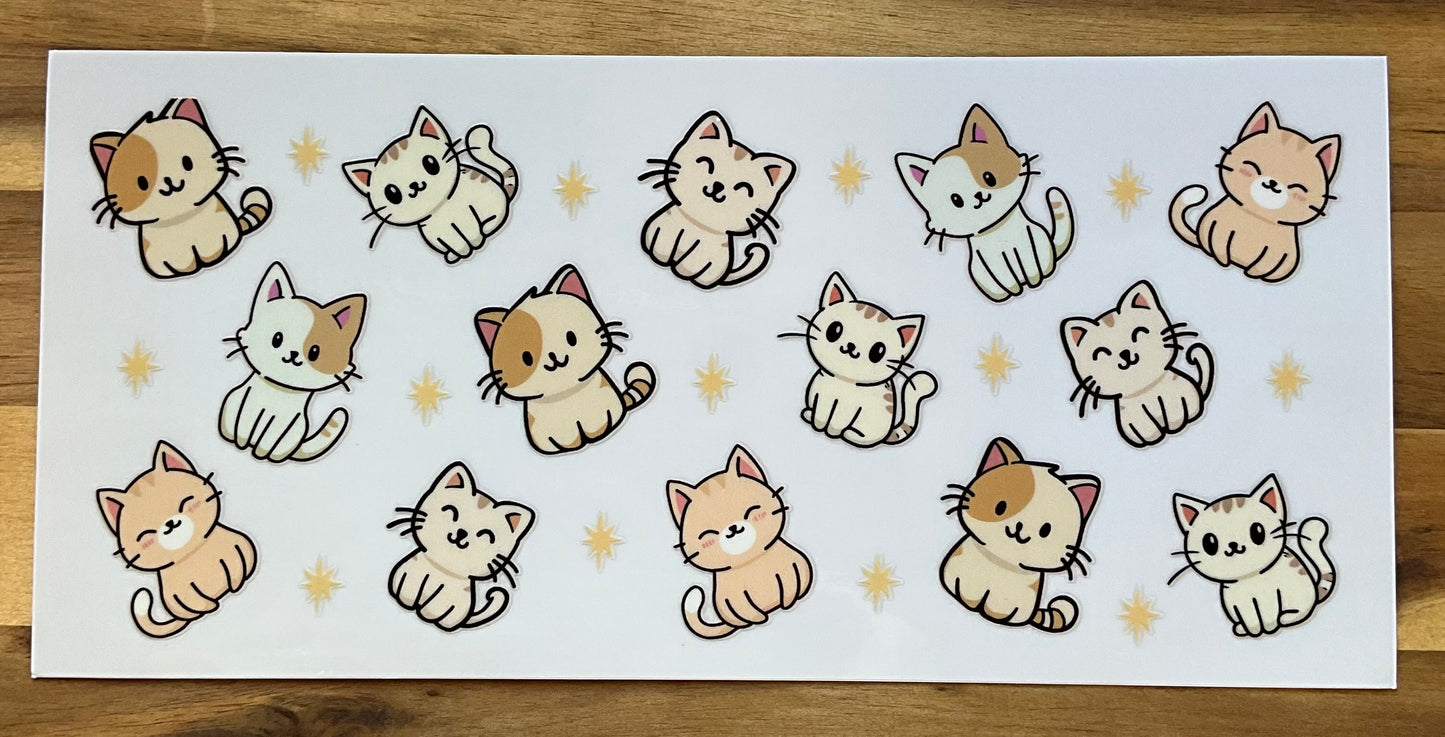 Katzen cuties