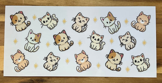 Katzen cuties