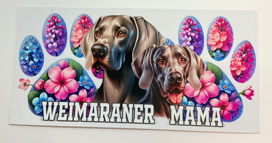 Weimaraner Mama