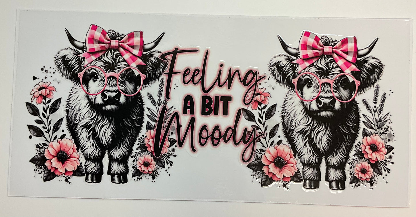 84 Feeling a bit Moody cow