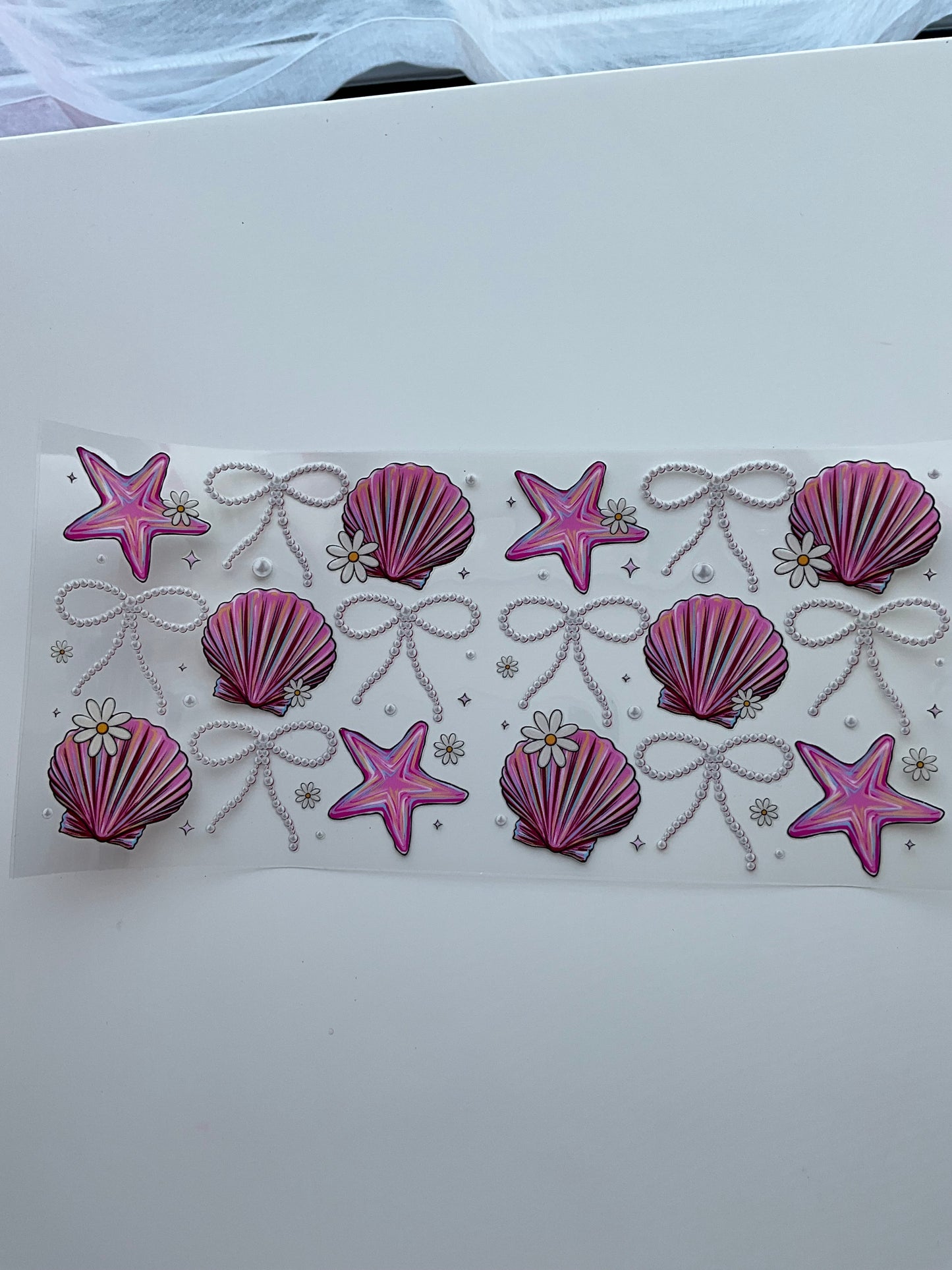 Muscheln ….4