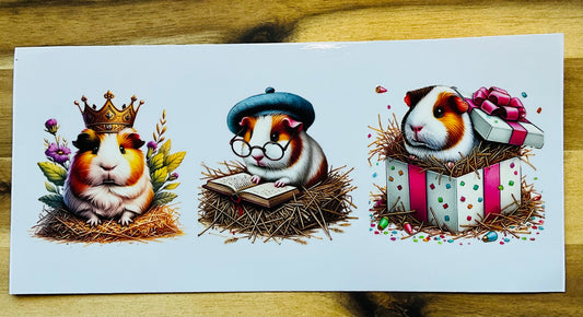 206 Meerschweinchen