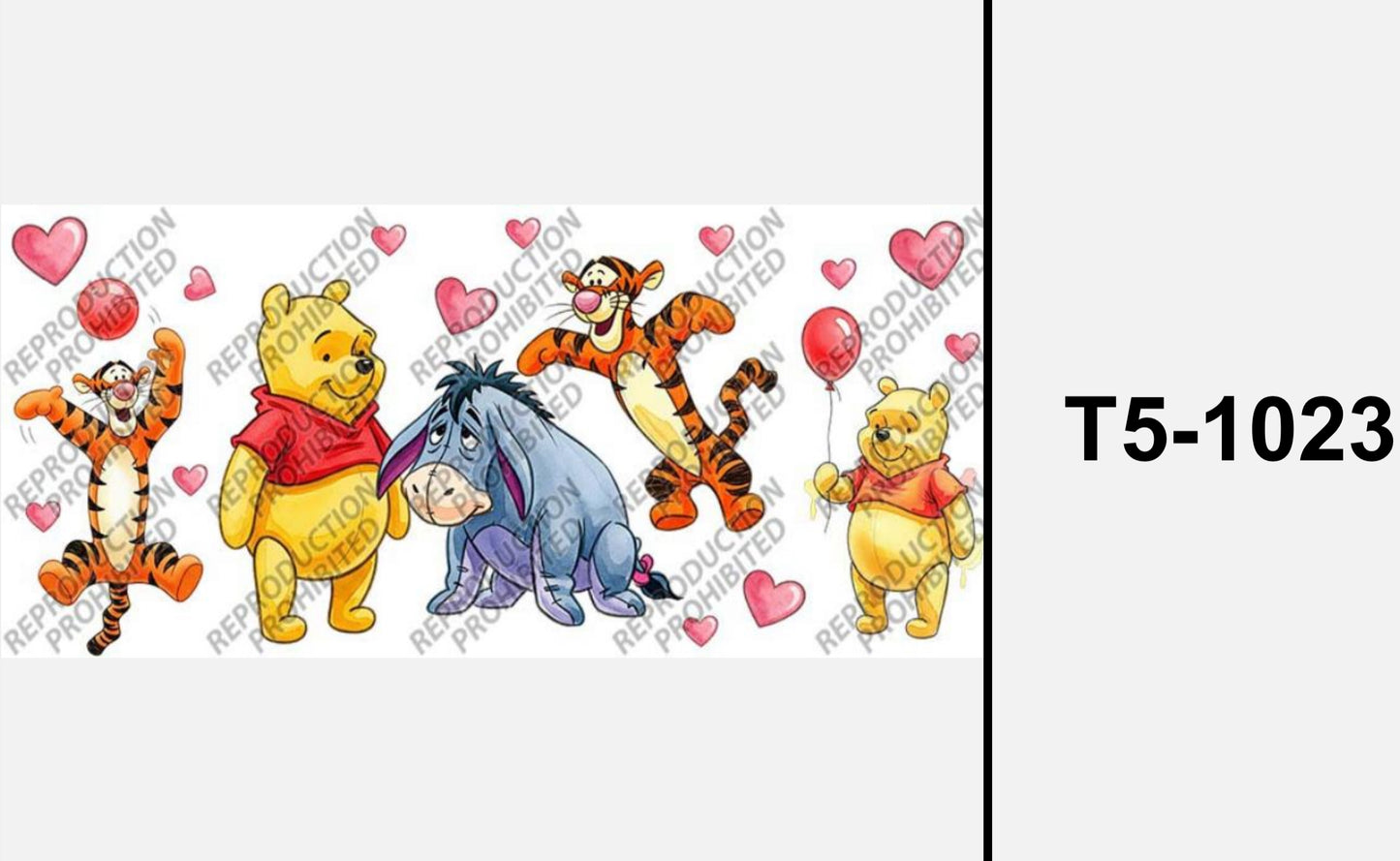 T5-1023