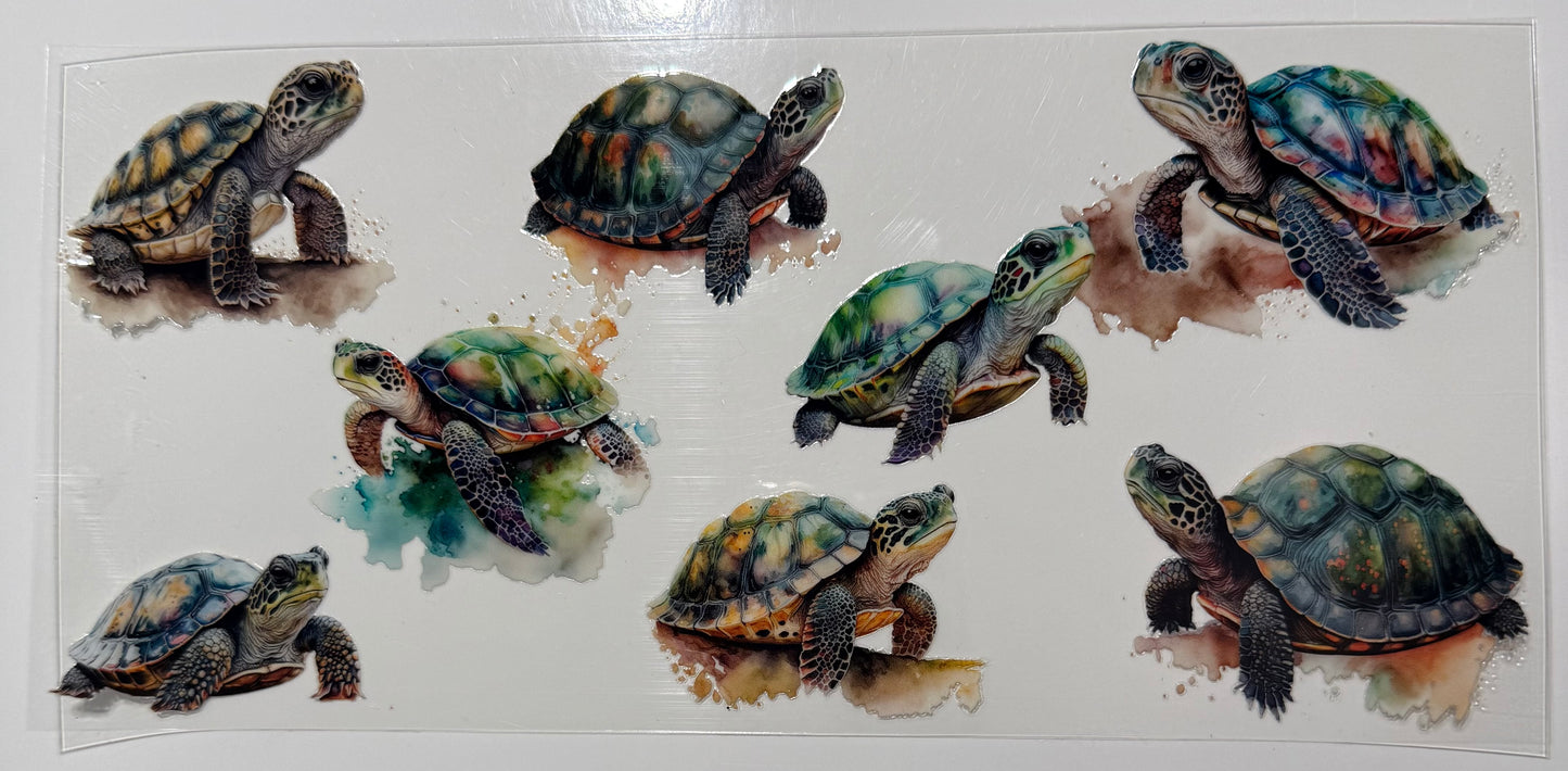 Schildkröten