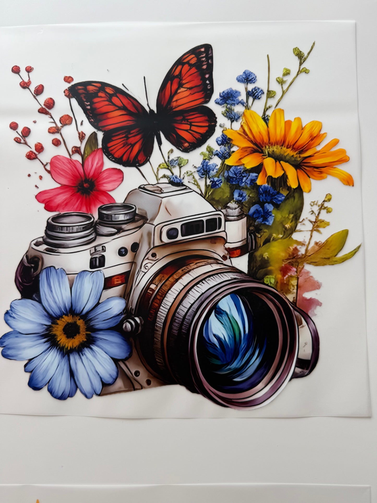 Kamera Blumen Schmetterling 🦋