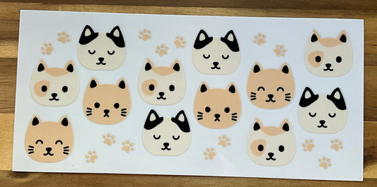 Katzen faces