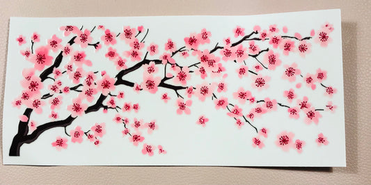 Kirschblüte 5