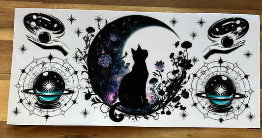 Cat moon