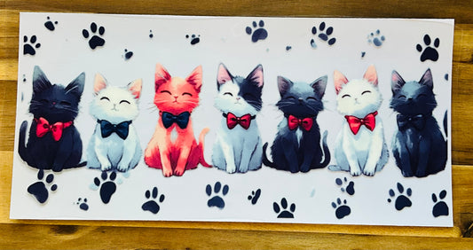 Little Cute cats 🐈⬛