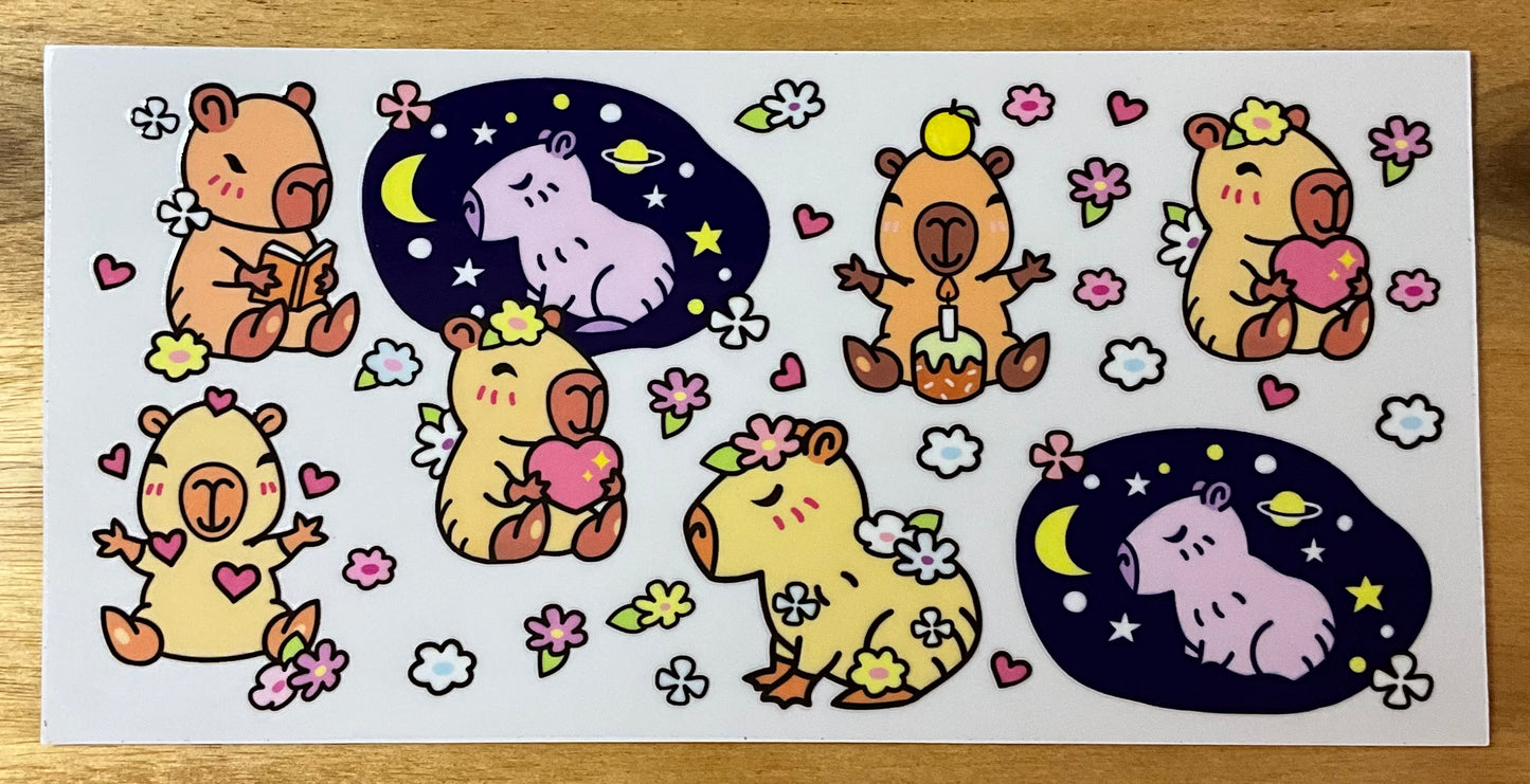 Capybara birthday