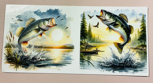 Fisch 2