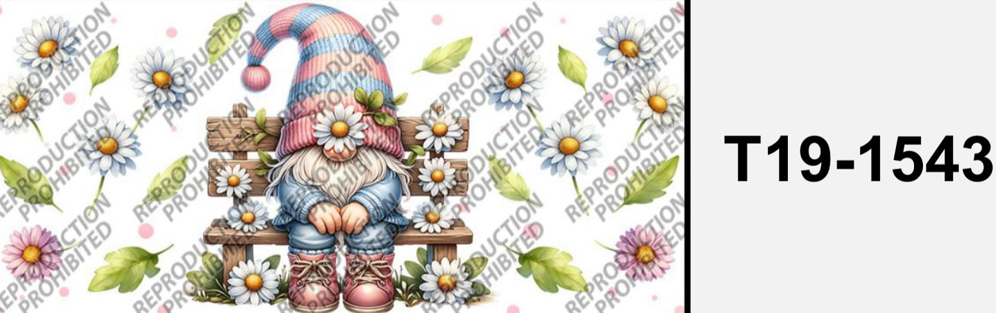 Süsser Zwerg T19-1543