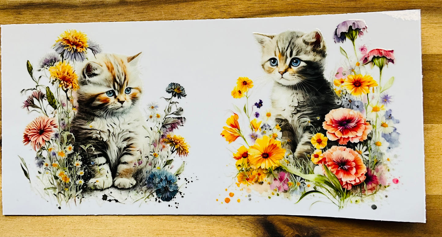 176 cute cat