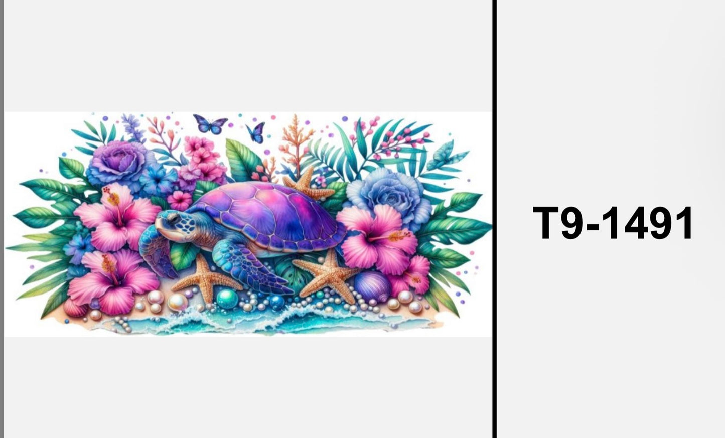 Schildkröte T9-1491