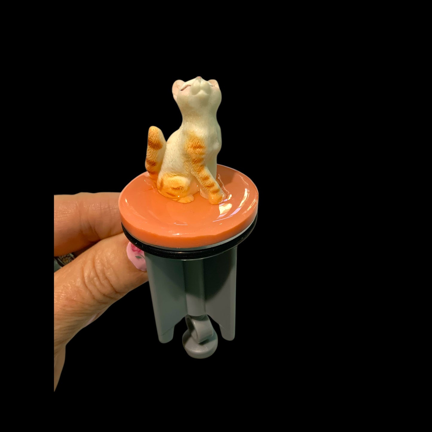 “Schnurr Deluxe – Katze auf Aprikodream”