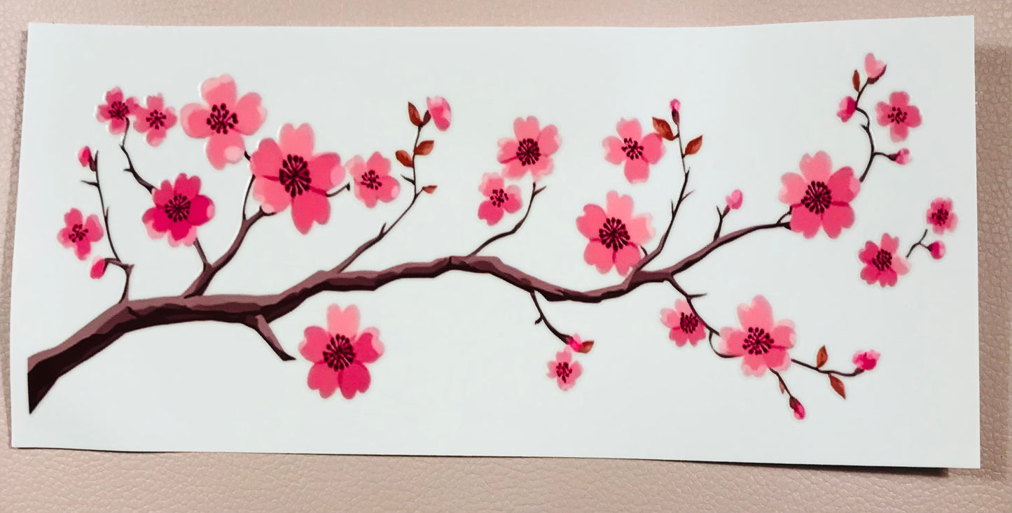Kirschblüte 8