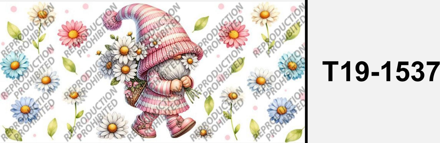 Süsser Zwerg T19-1537