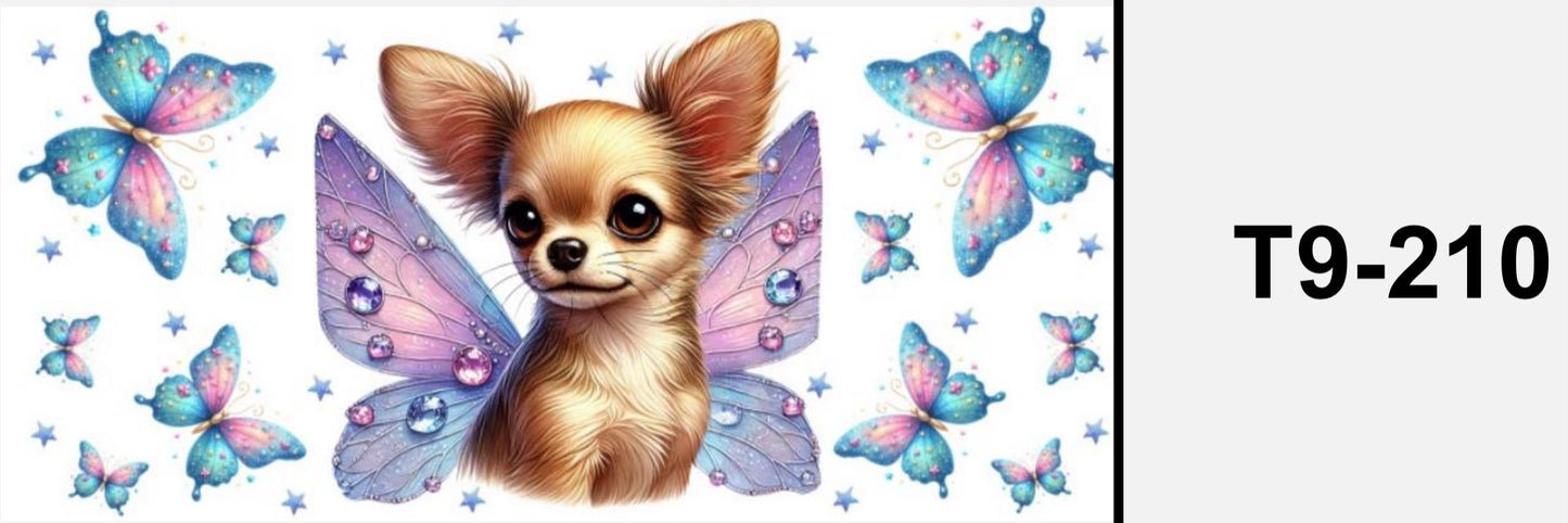Chihuahua T9-210