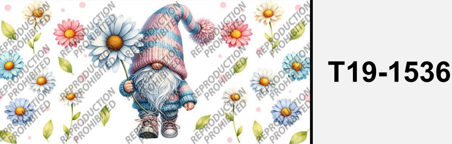 Süsser Zwerg T19-1536