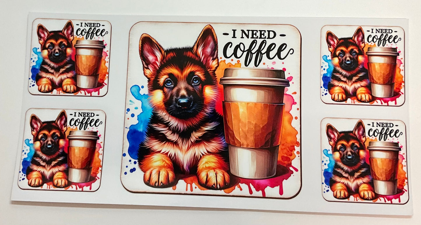 Coffee dog
