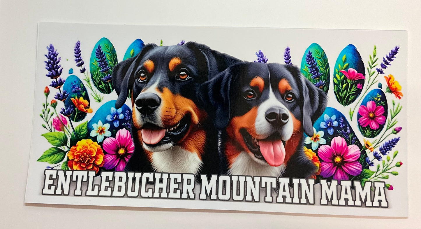 Entlebucher Mountain Mama