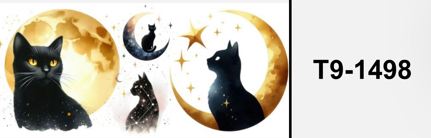 Katze T9-1498
