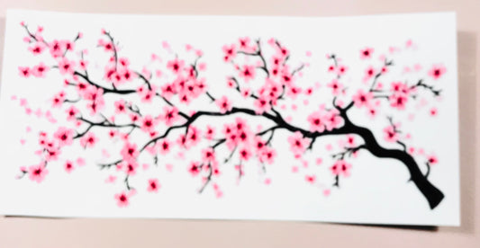 Kirschblüte 6