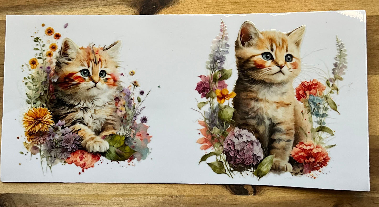 180 cute cat