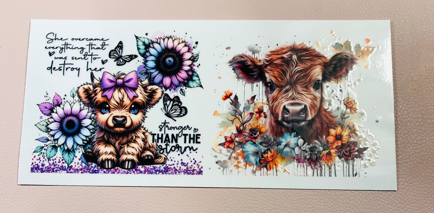 A little moody cow