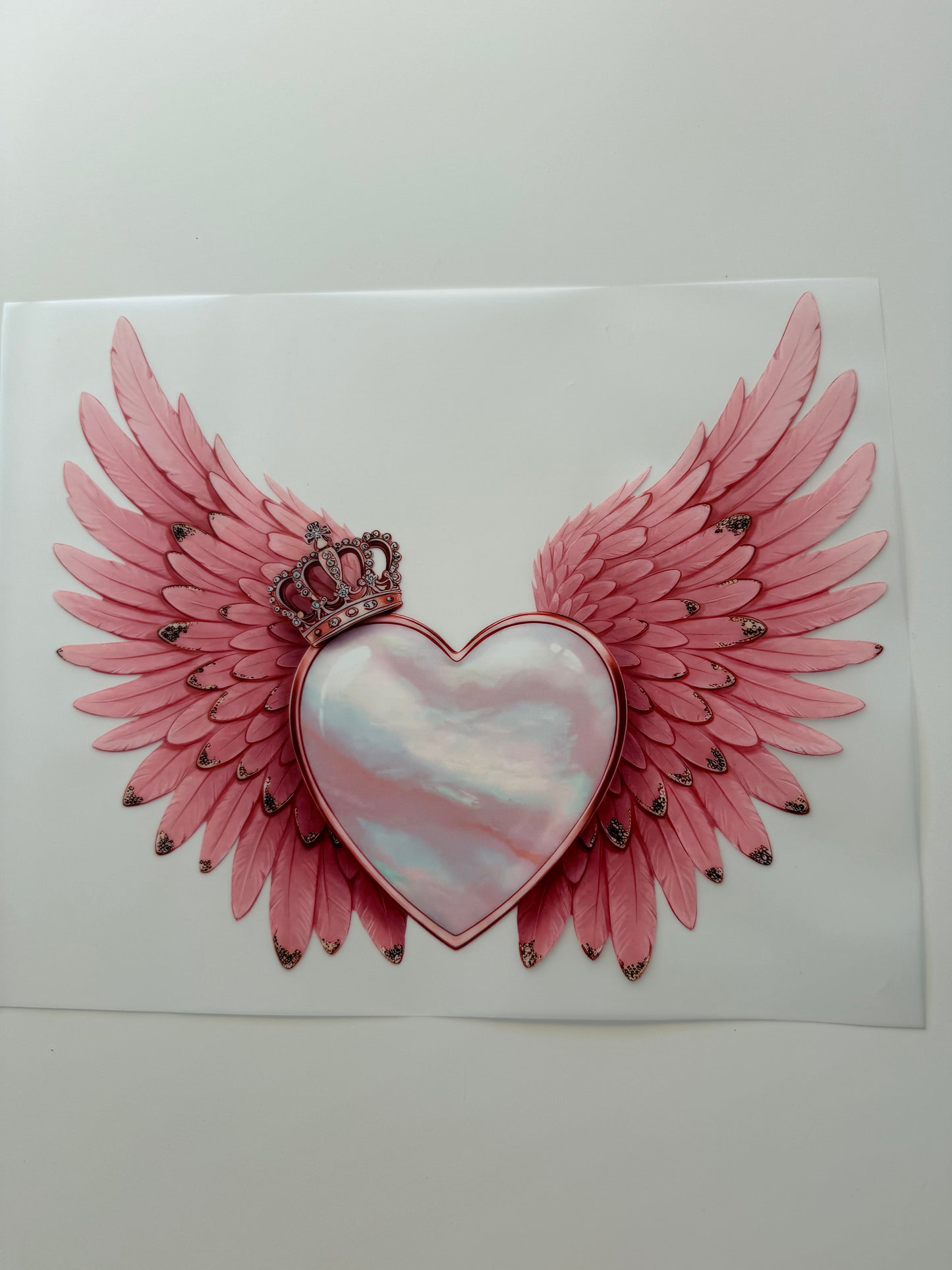 Angel wings 7