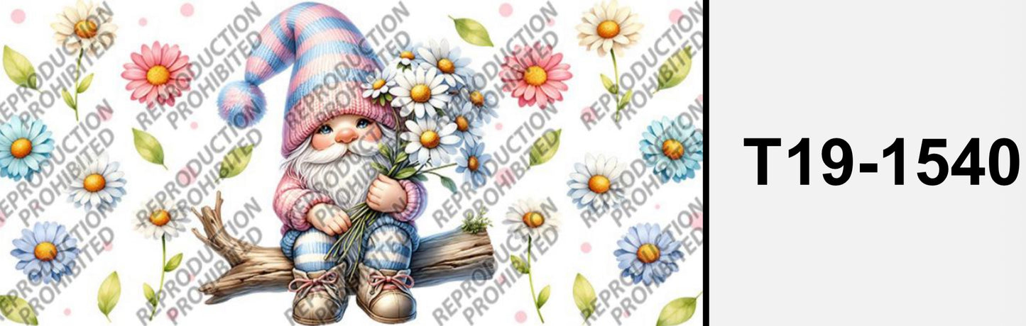 Süsser Zwerg T19-1540