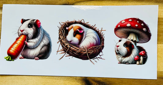 210 Meerschweinchen