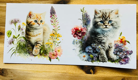 178 cute cat
