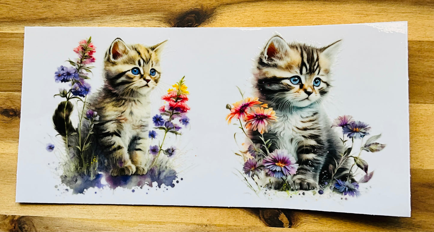 177 cute cat