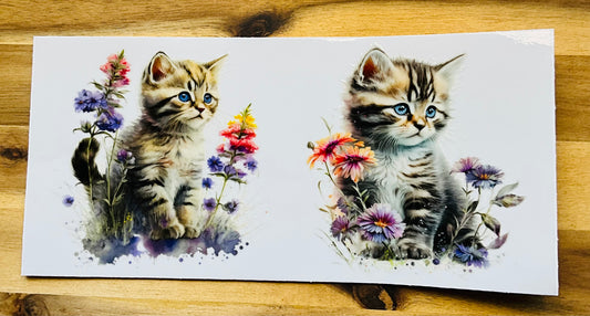 177 cute cat